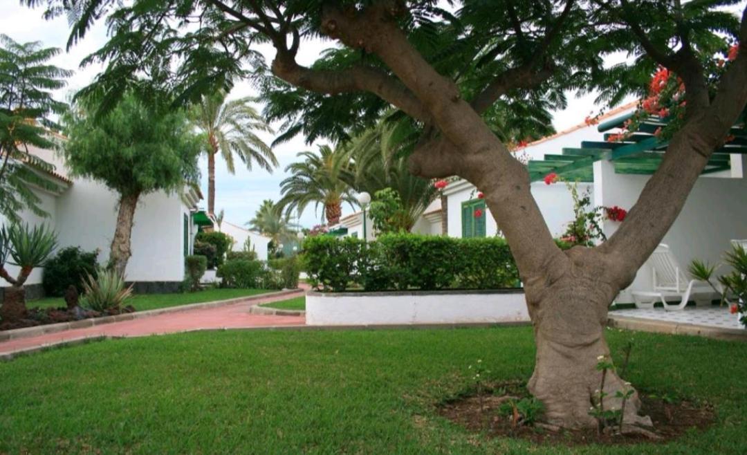 Maspalomas Dunas Golf 외부 사진